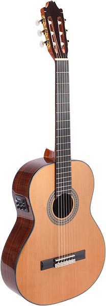 AH-C300 violão phx